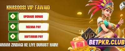 pk356 لاگ ان کریں اور کھیلیں